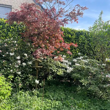Ferienhaus Magnolie *
