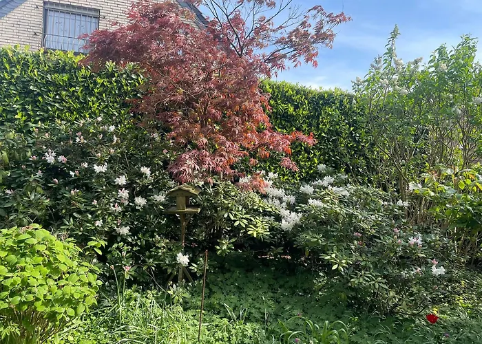 Tatil Evi Magnolie *